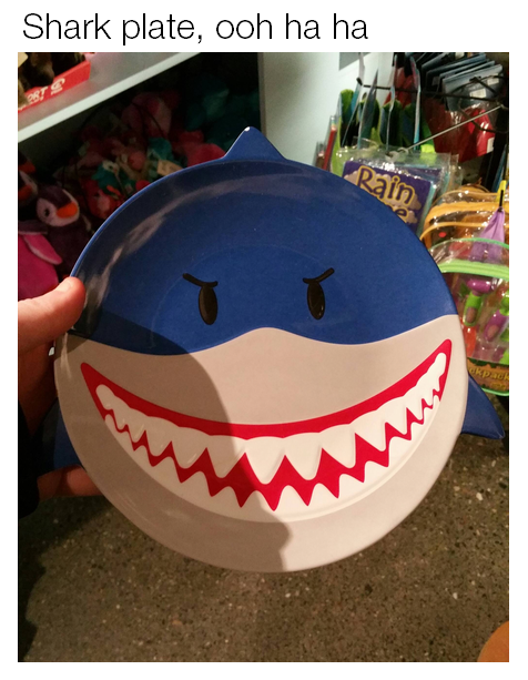 shark plate ooh ha ha - Shark plate, ooh ha ha Rain