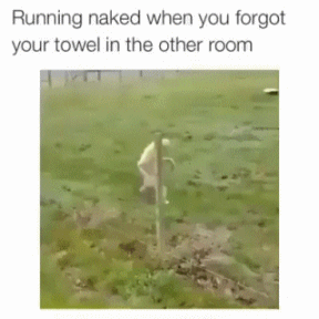memes - you forgot your towel gif - Running naked when you forgot your towel in the other room