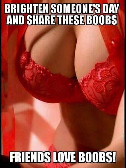 memes - boobs to brighten your day - Brighten Someone'S Day And These Boobs Friends Love Boobs!