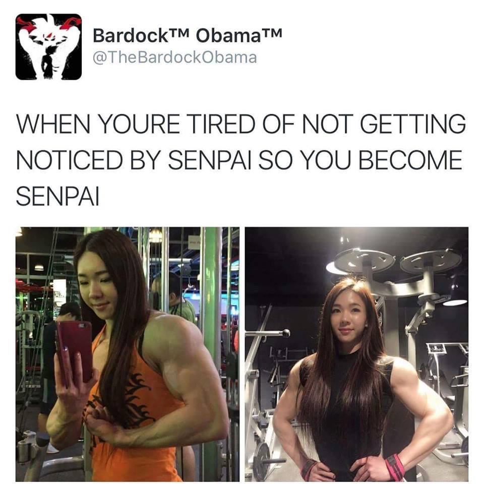 memes - senpai doesn t notice you so you become senpai - BardockTM ObamaTM When Youre Tired Of Not Getting Noticed By Senpai So You Become Senpai