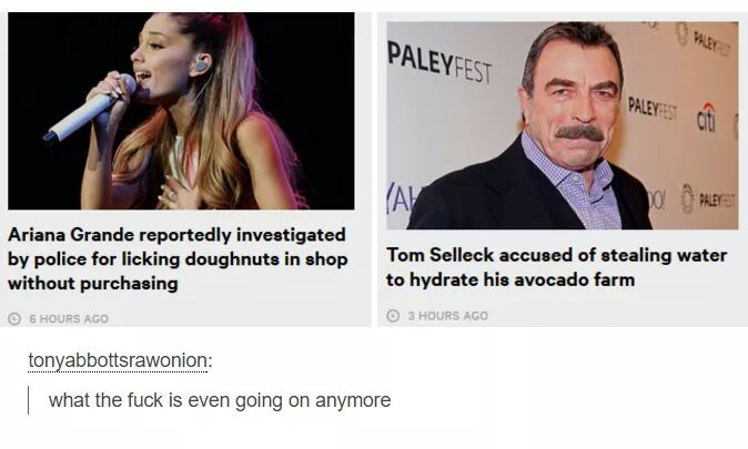 media - Paleyfest Paleyes Ou Ariana Grande reportedly investigated by police for licking doughnuts in shop without purchasing 6 Hours Ago Tom Selleck accused of stealing water to hydrate his avocado farm 3 Hours Ago tonyabbottsrawonion what the fuck is ev