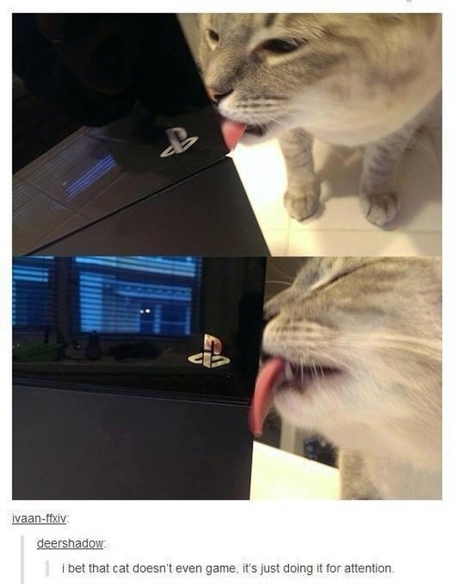 meme - cat lick ps4 - ivaanffxiv deershadow i bet that cat doesn't even game, it's just doing it for attention