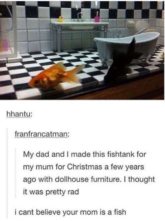 meme - dollhouse furniture fish tank - hhantu franfrancatman My dad and I made this fishtank for my mum for Christmas a few years ago with dollhouse furniture. I thought it was pretty rad i cant believe your mom is a fish