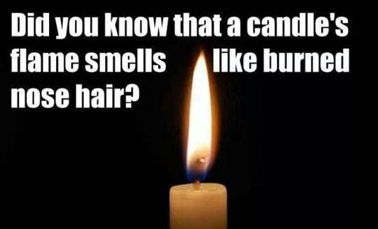 meme - funny candle flame - Did you know that a candle's flame smells burned nose hair?