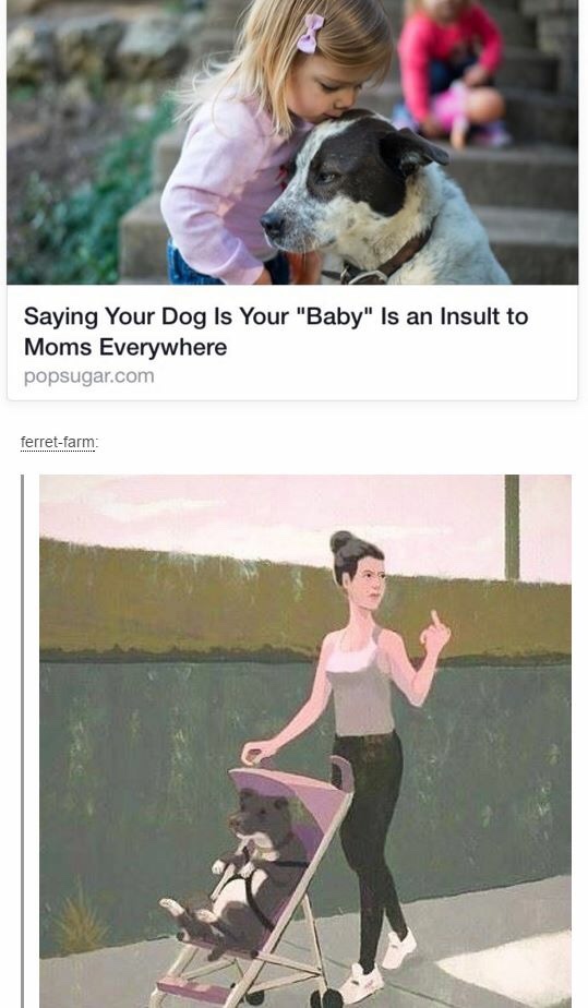 women without kids - Saying Your Dog Is Your "Baby" Is an Insult to Moms Everywhere popsugar.com ferretfarm