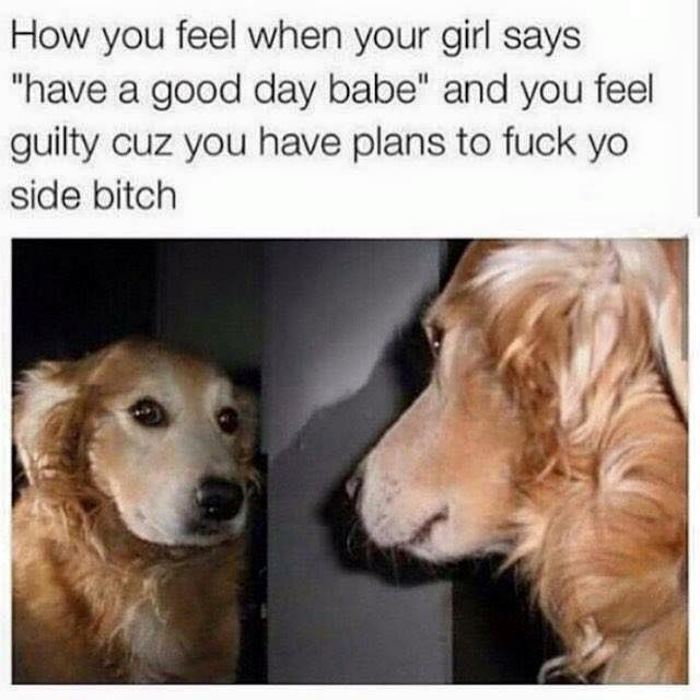 dog meme why are you like - How you feel when your girl says "have a good day babe" and you feel guilty cuz you have plans to fuck yo side bitch