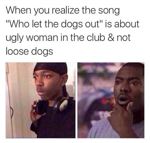 meme stream - let the dogs out meaning - When you realize the song "Who let the dogs out" is about ugly woman in the club & not loose dogs