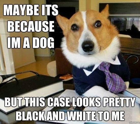 meme stream - funny law memes - Maybe Its Because Im A Dog But This Case Looks Pretty Black And White To Me zipmeme