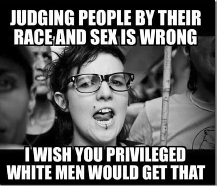meme stream - white privilege meme - Judging People By Their Race And Sex Is Wrong Twish You Privileged White Men Would Get That