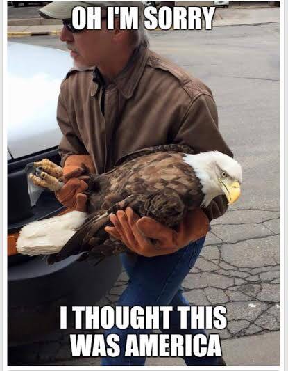 bald eagle meme - Oh I'M Sorry I Thought This Was America