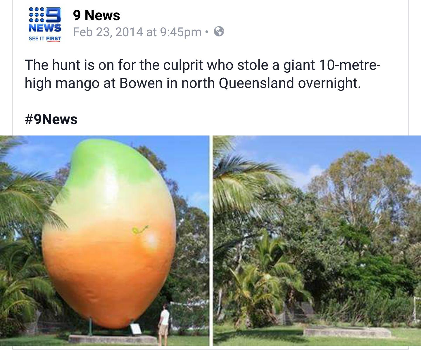 big mango australia - 3 News 9 News at pm See It First The hunt is on for the culprit who stole a giant 10metre high mango at Bowen in north Queensland overnight.