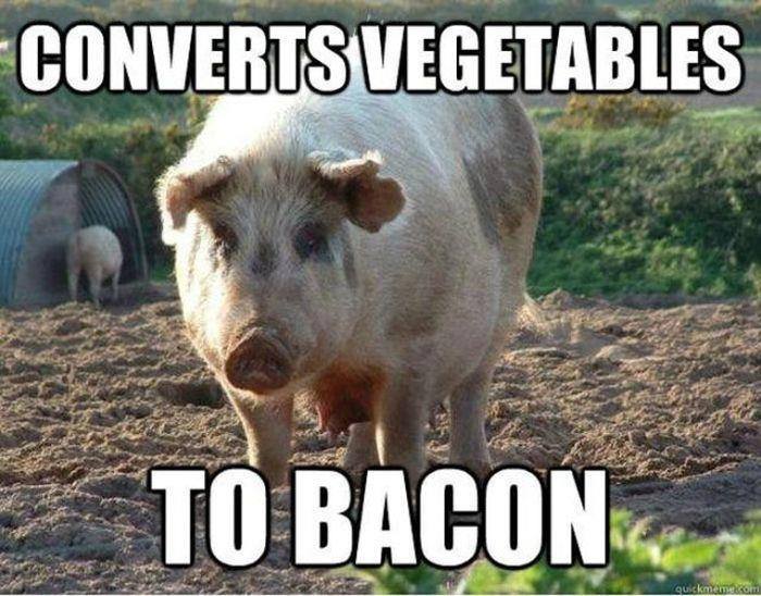 turn vegetables into bacon - Converts Vegetables To Bacon cuckmame.com