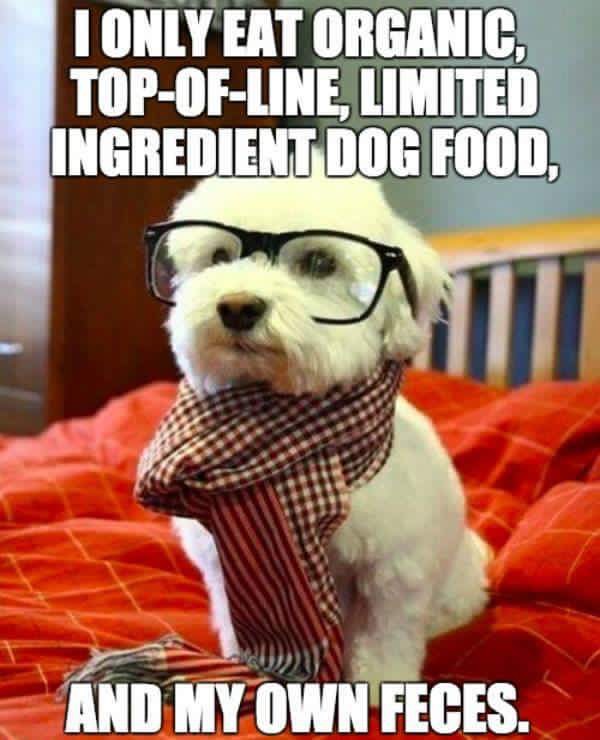 hipster dog - I Only Eat Organic TopOfLine, Limited Ingredient Dog Food, And My Own Feces.
