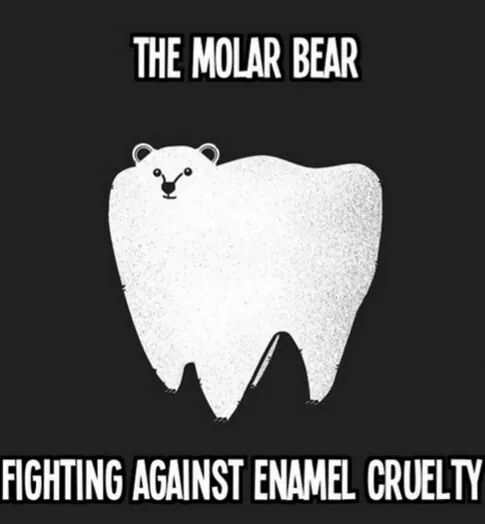 molar bear fighting against enamel cruelty - The Molar Bear Fighting Against Enamel Cruelty
