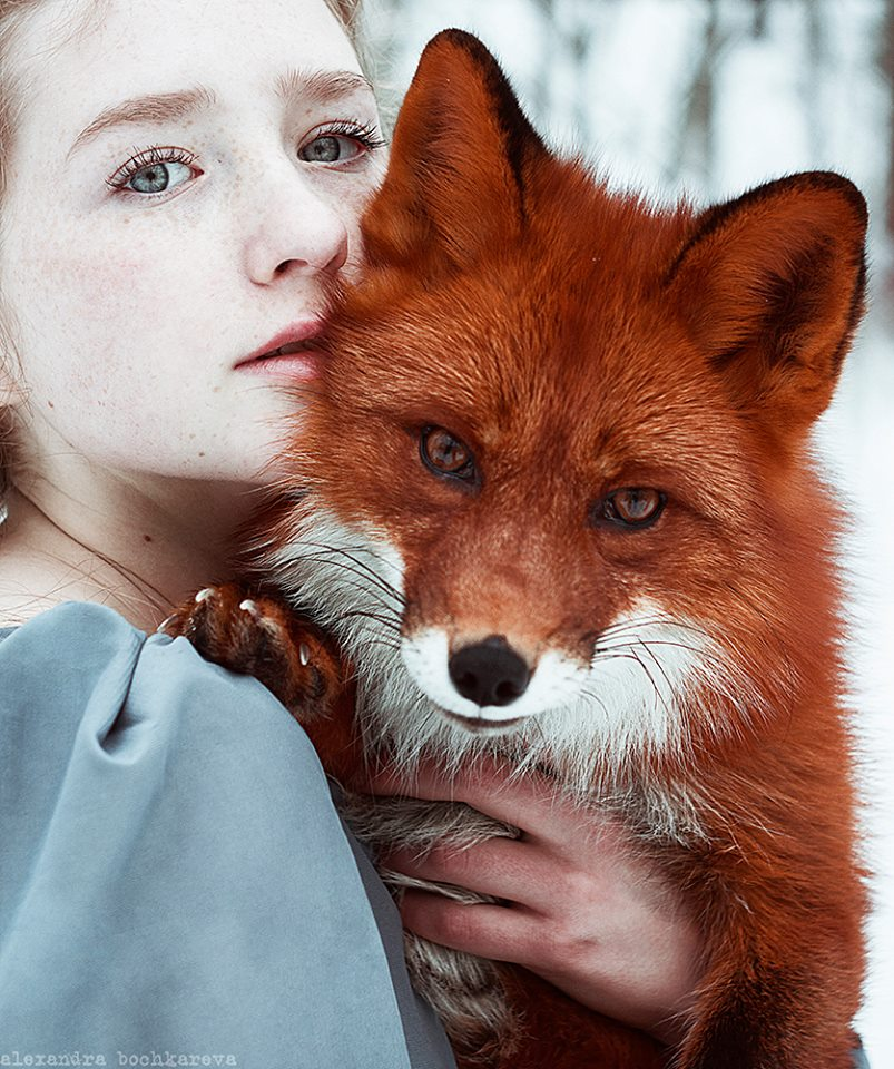 red hair with fox