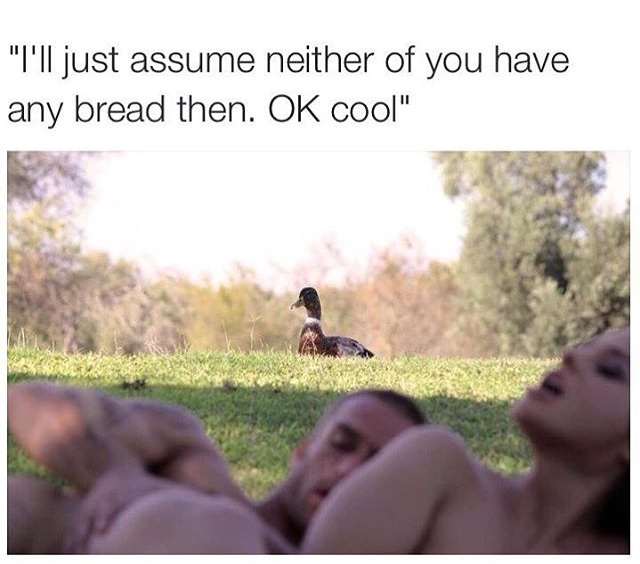 40 Fresh Memes To Kick Start Your Day