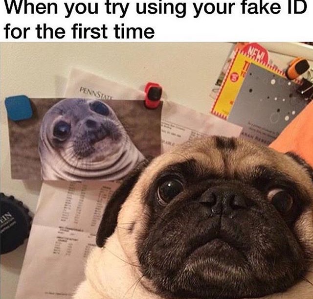 40 Fresh Memes To Kick Start Your Day