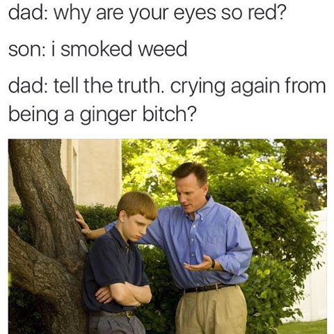 ginger bitch meme - dad why are your eyes so red? son i smoked weed dad tell the truth. crying again from being a ginger bitch?