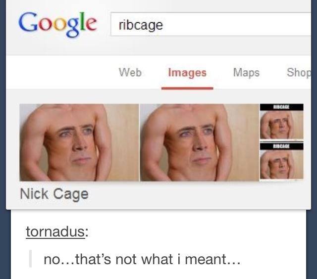 confused nick memes - Google ribcage ribcage Web Images Maps Shop Nick Cage tornadus no...that's not what i meant...