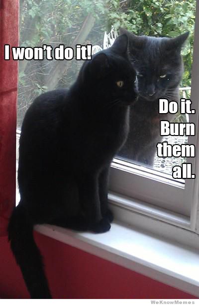 burn them all cat - I won't do it! Do it. them We Know Memes