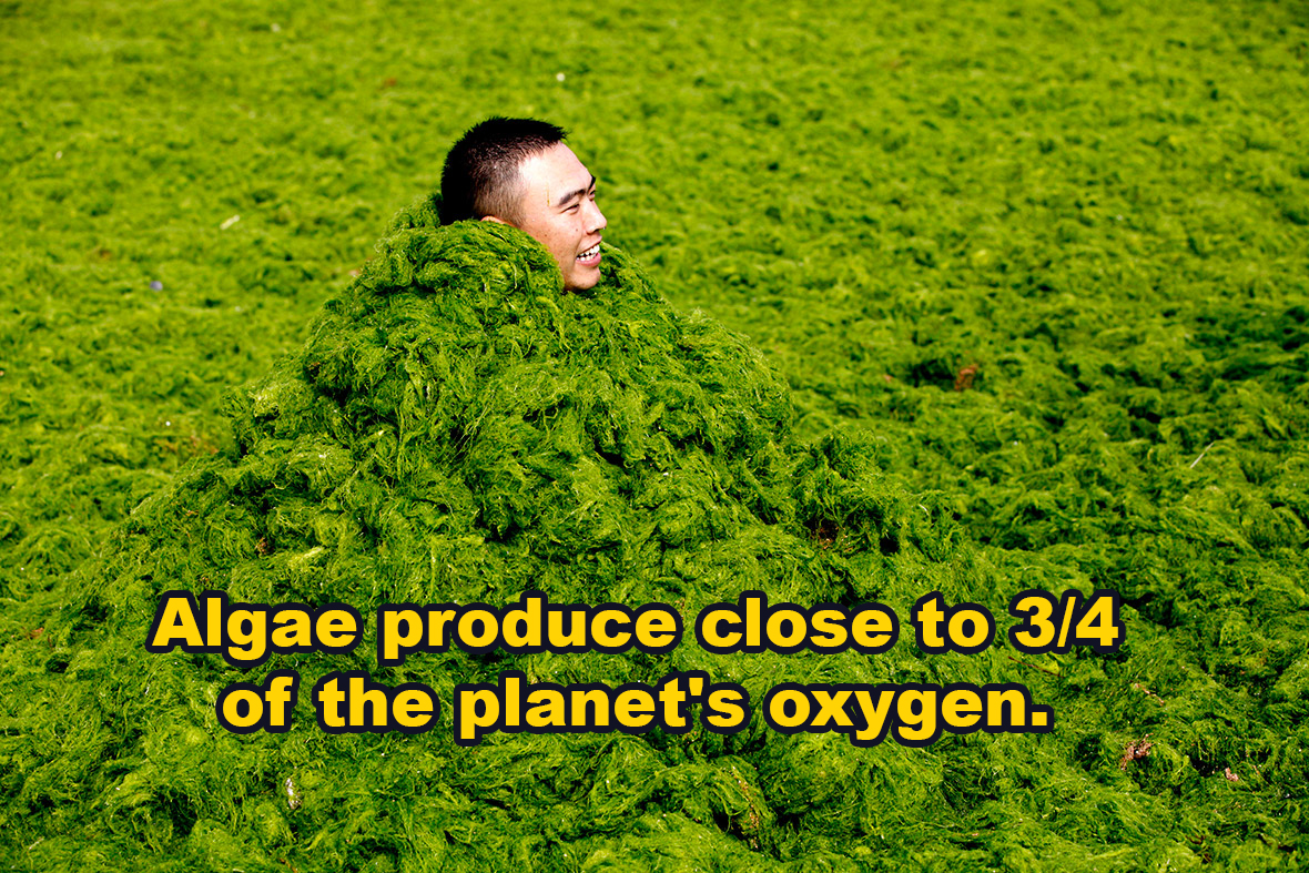 26 Fascinating Facts You Probably Didn't Know