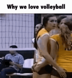 funny sexy gif memes - Why we love volleyball