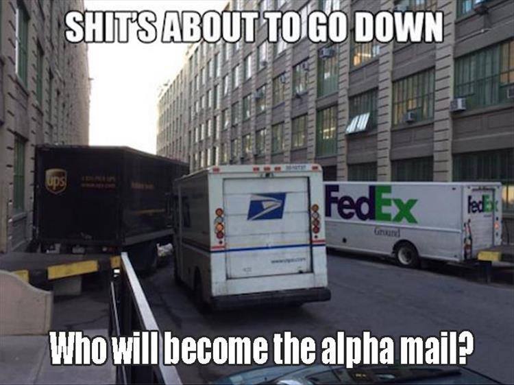 fedex vs ups meme - Shits About To Go Down Mala FedEx Who will become the alpha mail?