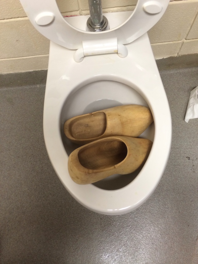 clogged the toilet