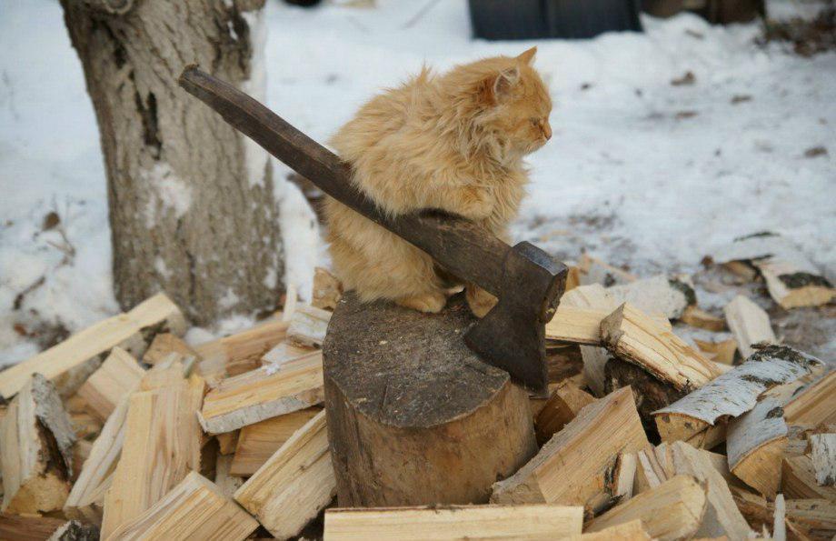 cat axe