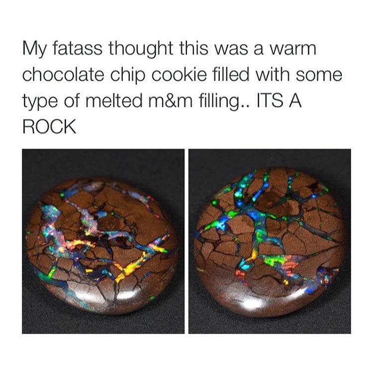 child in africa could ve eaten - My fatass thought this was a warm chocolate chip cookie filled with some type of melted m&m filling.. Its A Rock