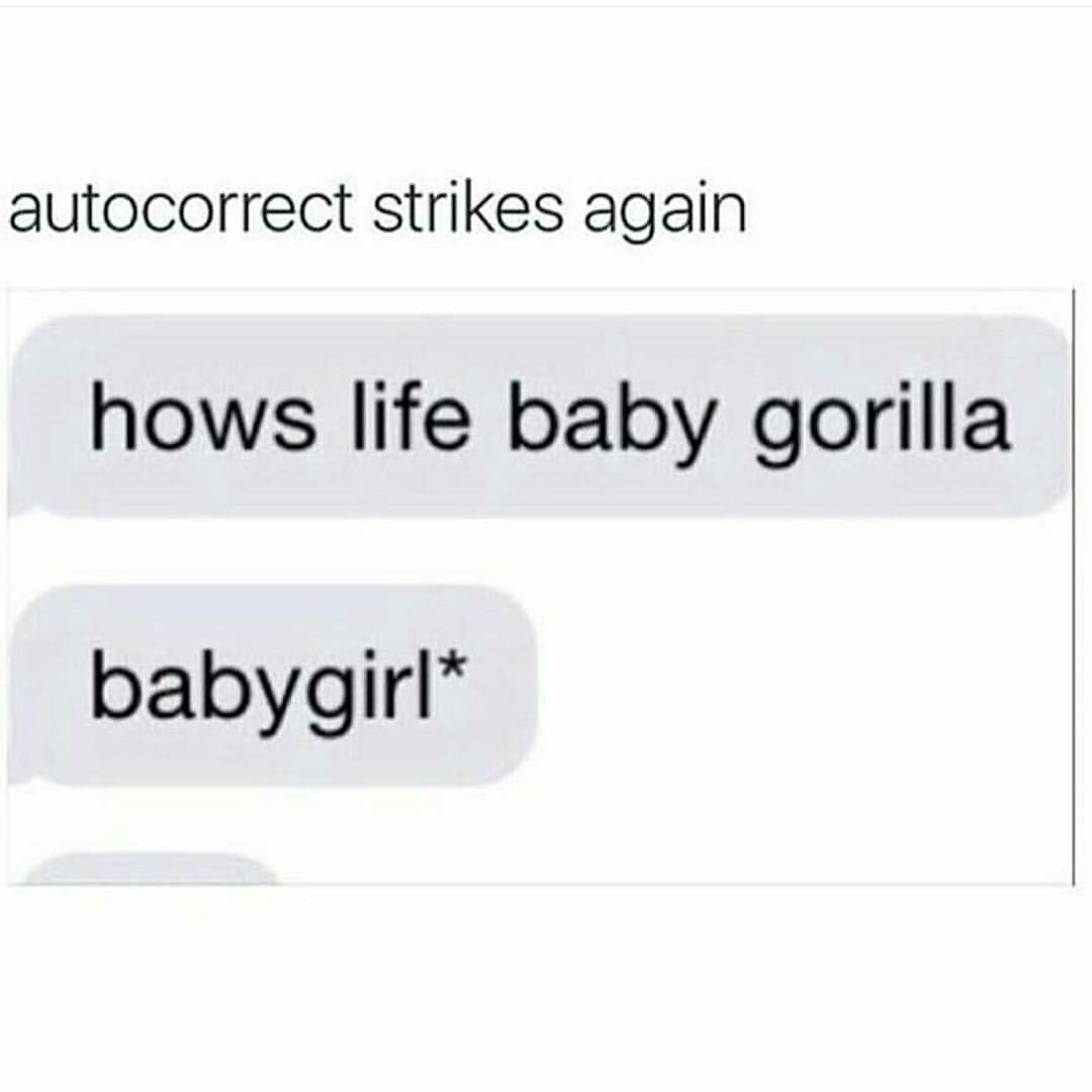 How s life. How's Life Baby Gorilla. Baby Gorilla Мем. Hola Baby Gorilla.