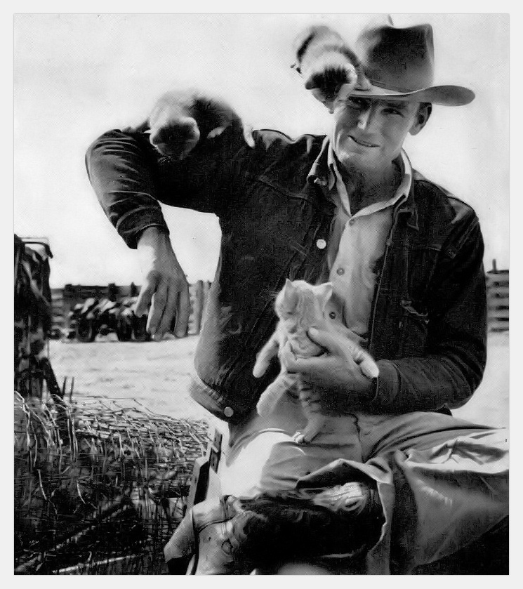 A Texas cowboy playing with his kittens. 1949.