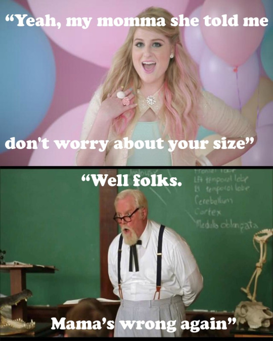 meghan trainor meme - Yeah, my momma she told me don't worry about your size" Well folks. Li temporil leie teefotol lobe Cerebellum Cortex Medila dolmgata Mama's wrong again