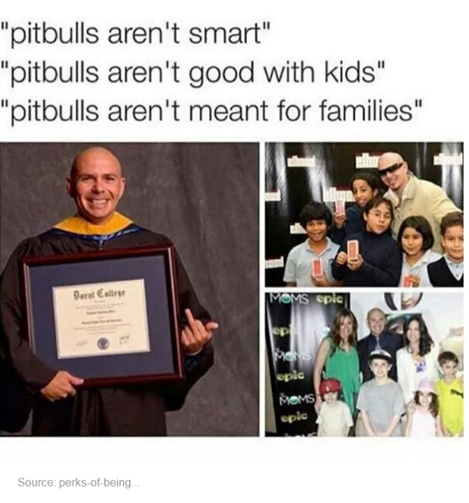 he's good with kids - "pitbulls aren't smart" "pitbulls aren't good with kids" "pitbulls aren't meant for families" Del Moms epic Source perksofbeing