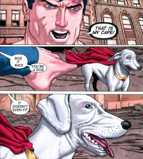 funny superman - That Is My Cape! Give Back It You'Re A Dog Doesn'T Even Fit