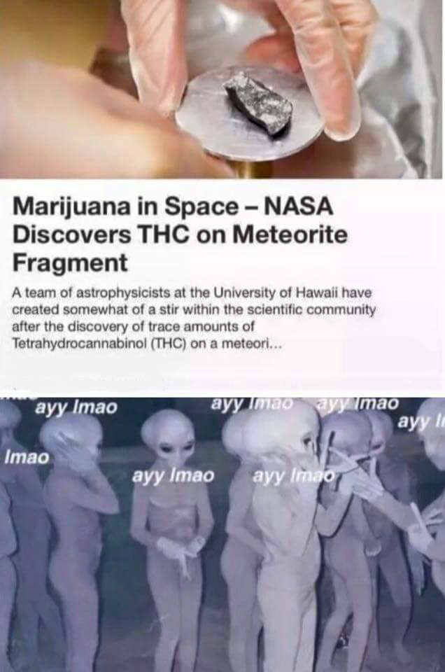 ayy lmao meme - Marijuana in Space Nasa Discovers Thc on Meteorite Fragment A team of astrophysicists at the University of Hawaii have created somewhat of a stir within the scientific community after the discovery of trace amounts of Tetrahydrocannabinol 