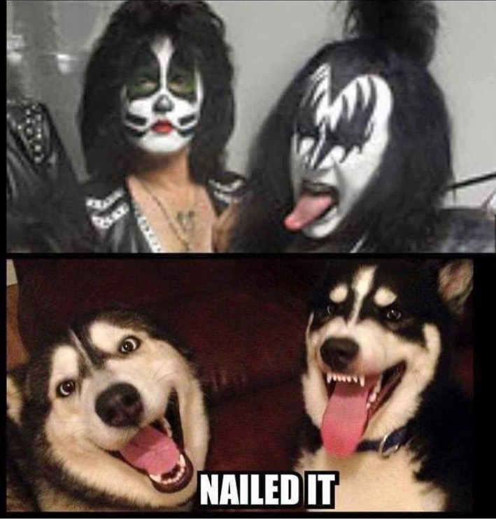 kiss husky meme - Nailed It