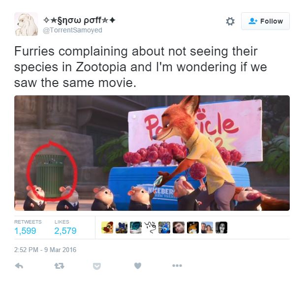 furry irl - snow poff Furries complaining about not seeing their species in Zootopia and I'm wondering if we saw the same movie. Pole icle 1,599 2,579 een