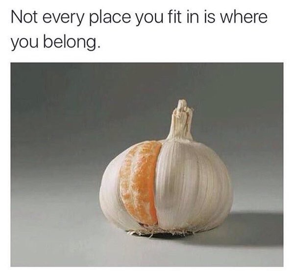 not every place you fit - Not every place you fit in is where you belong.