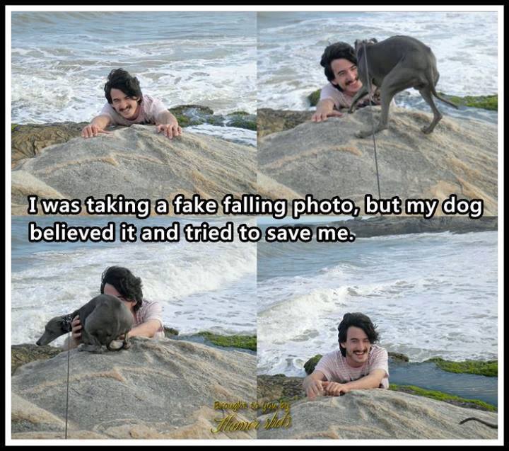 animals are better than humans - I was taking a fake falling photo, but my dog believed it and tried to save me. we Broughs so Slimme