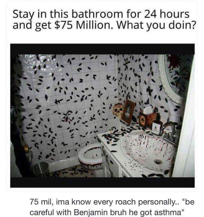 roaches meme - Stay in this bathroom for 24 hours and get $75 Million. What you doin? 75 mil, ima know every roach personally.. "be careful with Benjamin bruh he got asthma"