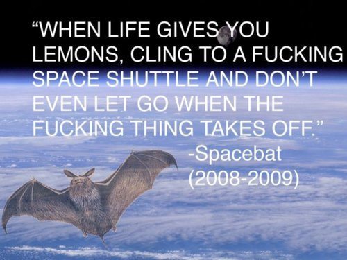 spacebat - When Life Gives You Lemons, Cling To A Fucking Space Shuttle And Don'T Even Let Go When The Fucking Thing Takes Off." Spacebat 20082009