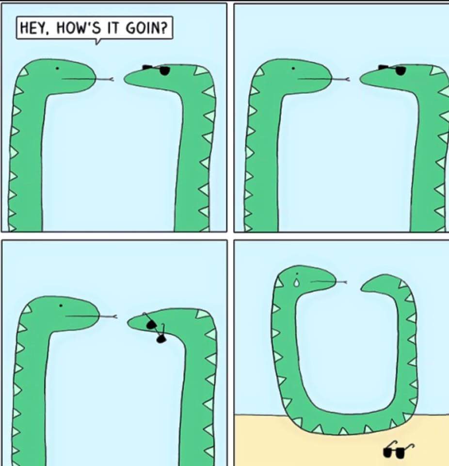 forever alone snake - They, How'S It Goin? |