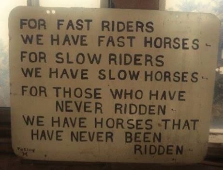 slow people we have slow horses - For Fast Riders We Have Fast Horses For Slow Riders We Have Slow Horses For Those Who Have Never Ridden We Have Horses That Have Never Been Ridden