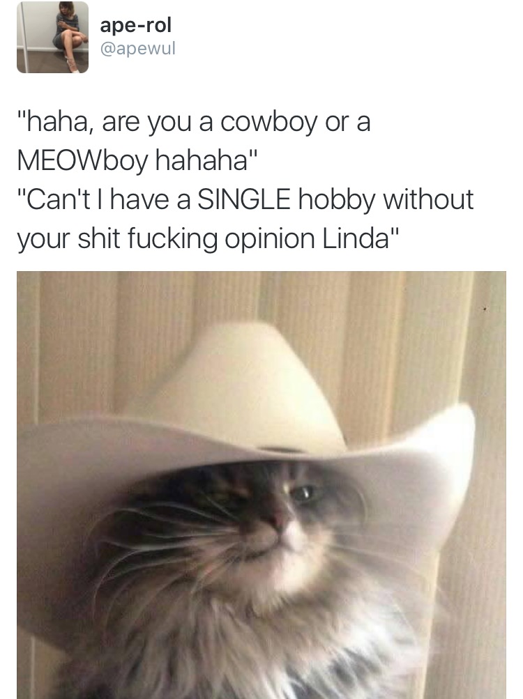 cat icon twitter - aperol "haha, are you a cowboy or a MEOWboy hahaha" "Can't I have a Single hobby without your shit fucking opinion Linda"