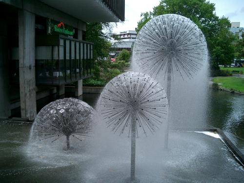 dandelion fountains