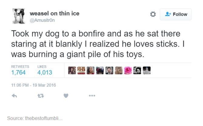 random tweet - weasel on thin ice Took my dog to a bonfire and as he sat there staring at it blankly I realized he loves sticks. I was burning a giant pile of his toys. 1,764 4,013 N o n Source thebestoftumbli..