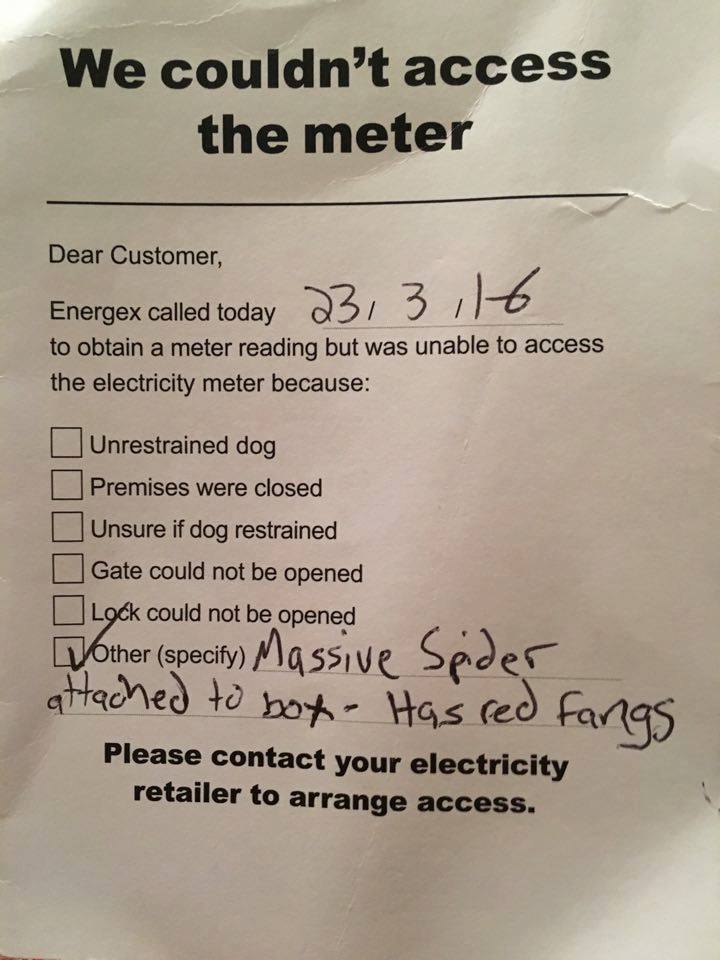 couldn t read the meter - We couldn't access the meter Dear Customer, Energex called today 23, 3116 Energex called today to obtain a meter reading but was unable to access the electricity meter because Unrestrained dog Premises were closed Unsure if dog r