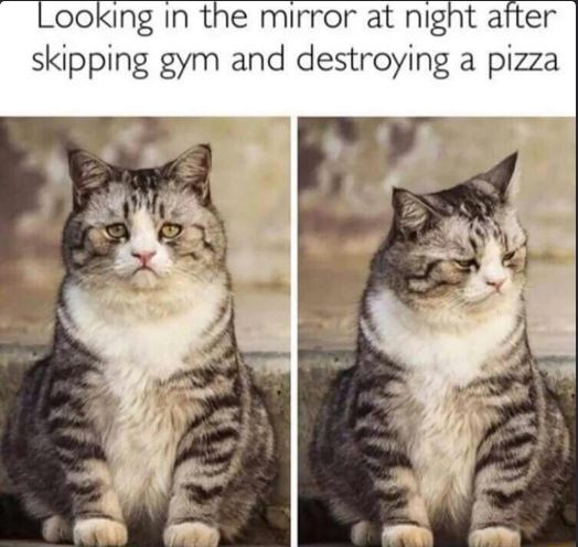 looking in the mirror at night after skipping gym - Looking in the mirror at night after skipping gym and destroying a pizza