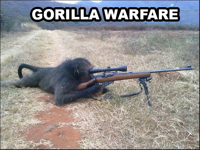 monkey with a gun - Gorilla Warfare